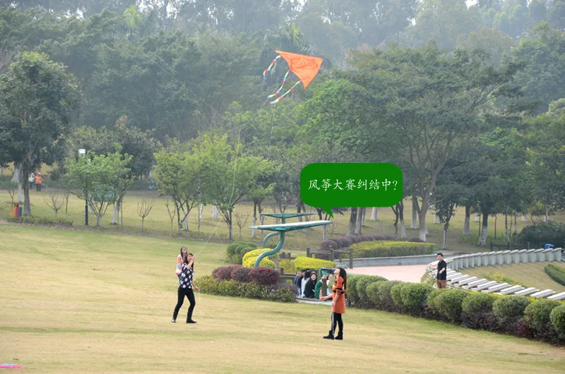 2014海雅百货南城店踏青之旅