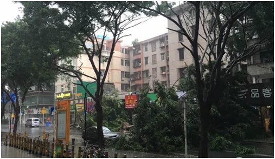 海雅人一条心,不惧危险抗台风