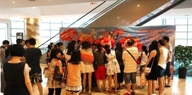 儿童音乐剧 |《小伴龙·魔法生日会》在海雅大剧院演出圆满落幕