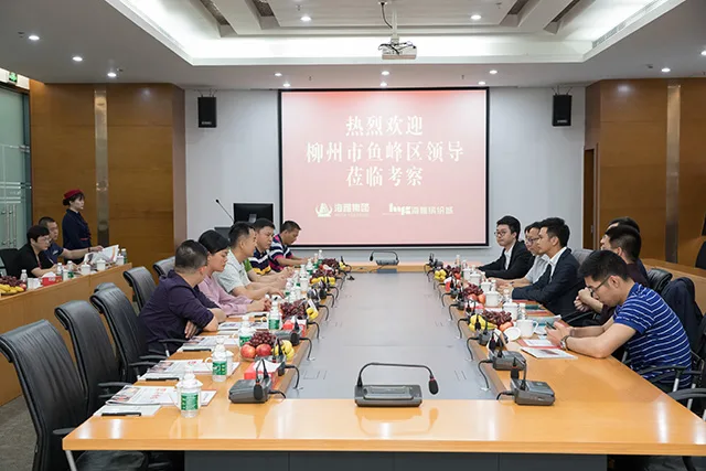 柳州市鱼峰区领导莅临海雅集团对文旅小镇项目推进情况进行调研