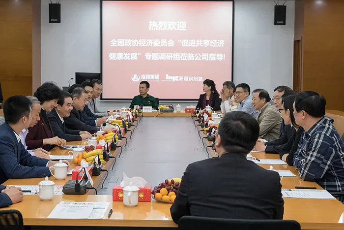 全国政协调研组考察海雅集团