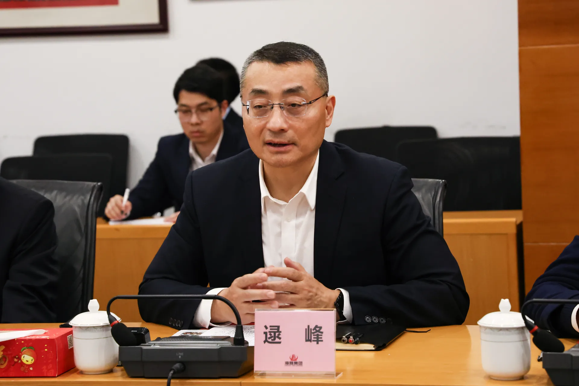 汕尾市委书记逯峰率队赴深圳招商引资 到访海雅集团共话合作 共赢发展